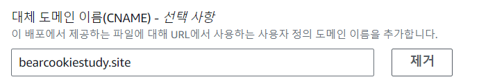 대체 도메인